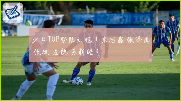 少年TOP登陆红毯（朱志鑫 张泽禹 张极 左航 苏新皓）