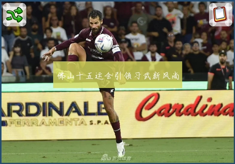 佛山十五运会引领习武新风尚