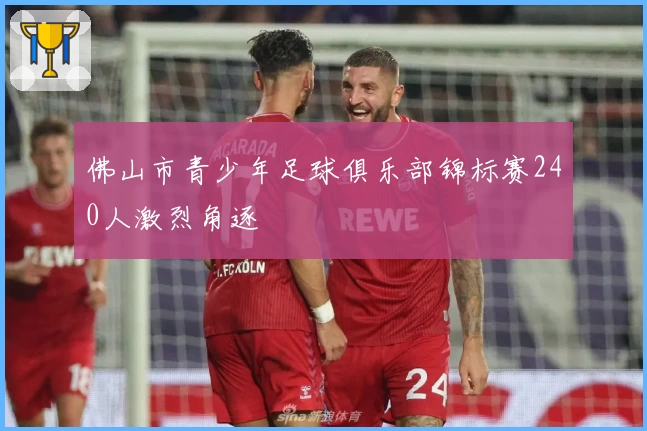 佛山市青少年足球俱乐部锦标赛240人激烈角逐