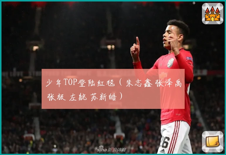 少年TOP登陆红毯（朱志鑫 张泽禹 张极 左航 苏新皓）