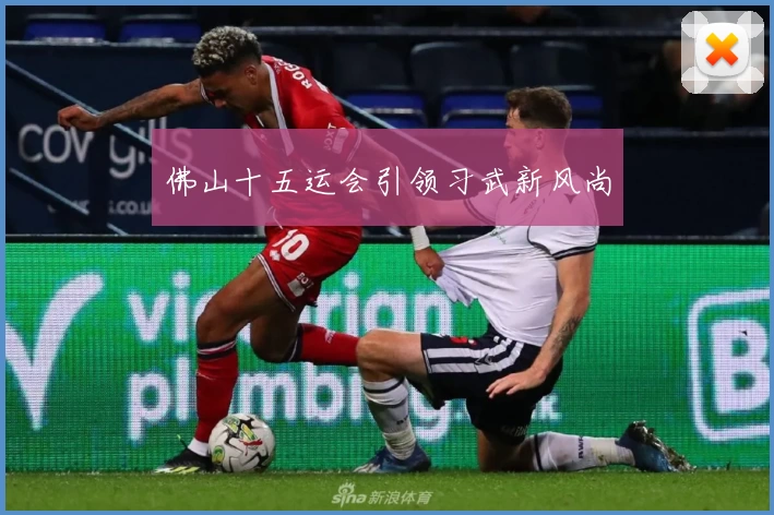 佛山十五运会引领习武新风尚